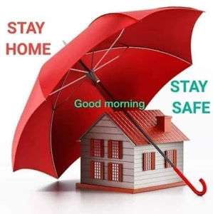 Meet your Posher, Dolma